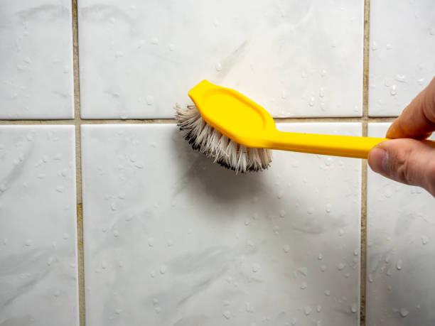 Best Toxic Mold Removal  in Tenino, WA