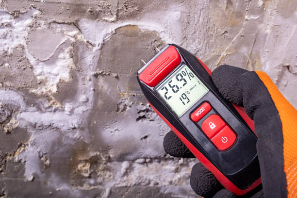 Office Mold Removal Services in Tenino, WA