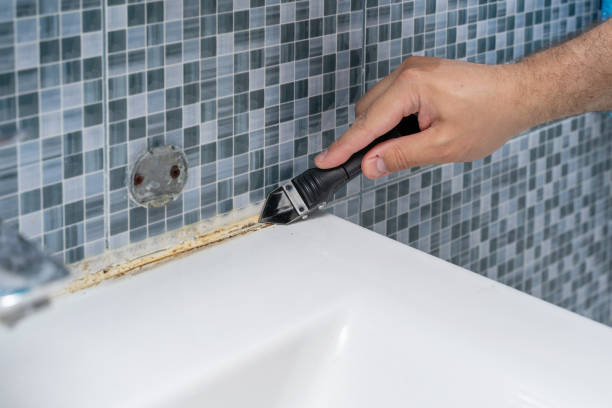 Best Water Damage Restoration  in Tenino, WA