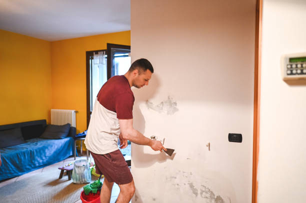 Best Mold Cleaning Services  in Tenino, WA